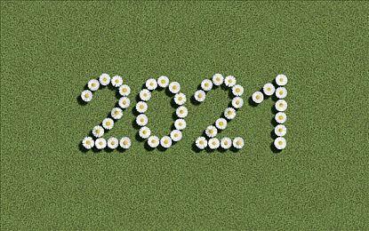 好评动作冒险《 虚构世界2》发售 PS4＆Switch版稍后登场