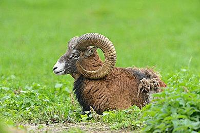 《消逝的光芒2》PS4版容量是PS5的两倍 高达51GB